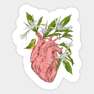 heart with flowers, leaves and birds Sticker